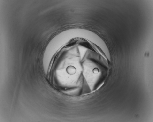 X0000112460037200909071120