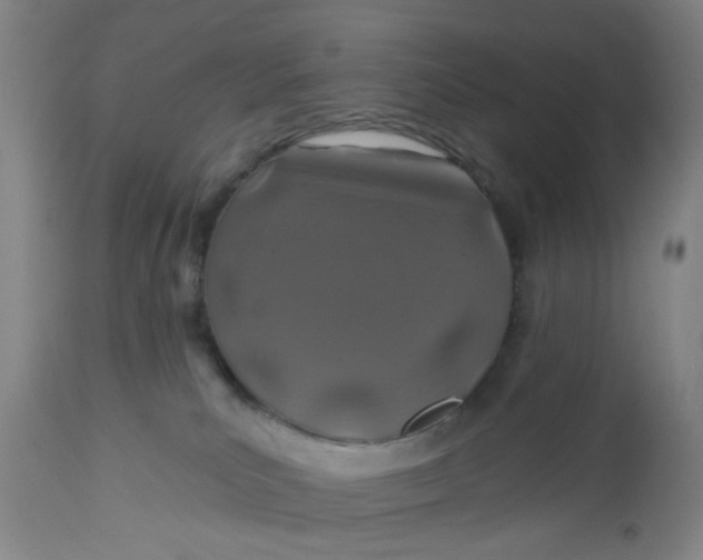 X0000112460039200909071120