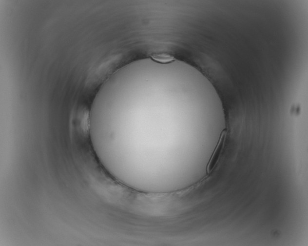 X0000112460041200909071120