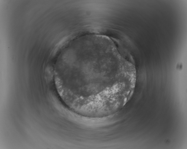 X0000112460043200909071120