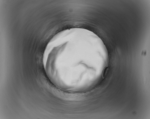 X0000112460044200909071120