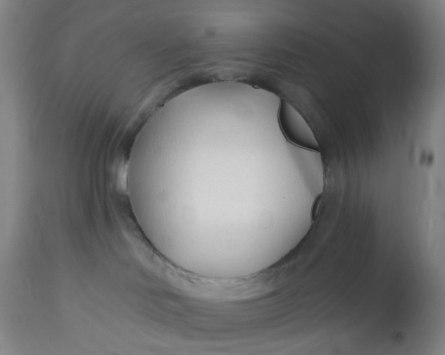 X0000112460046200909071120