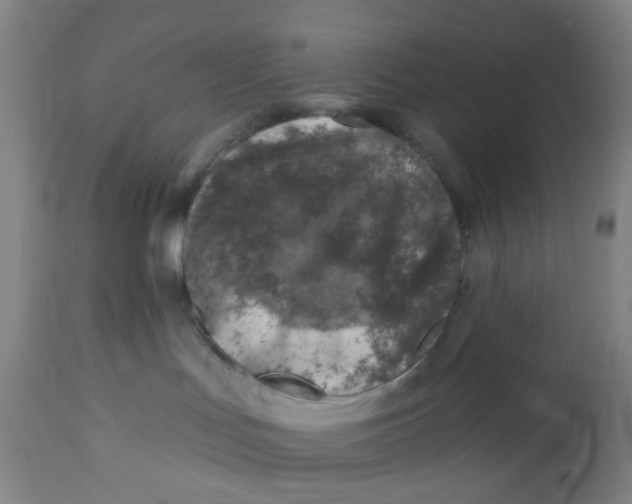 X0000112460047200909071120