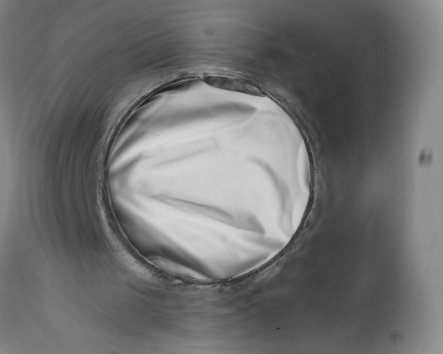 X0000112460049200909071119