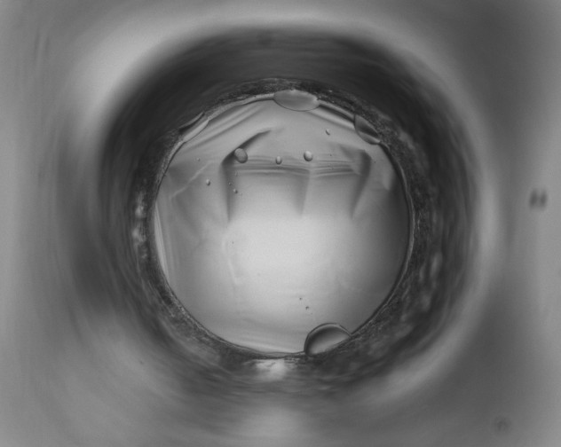 X0000112460050200909071119