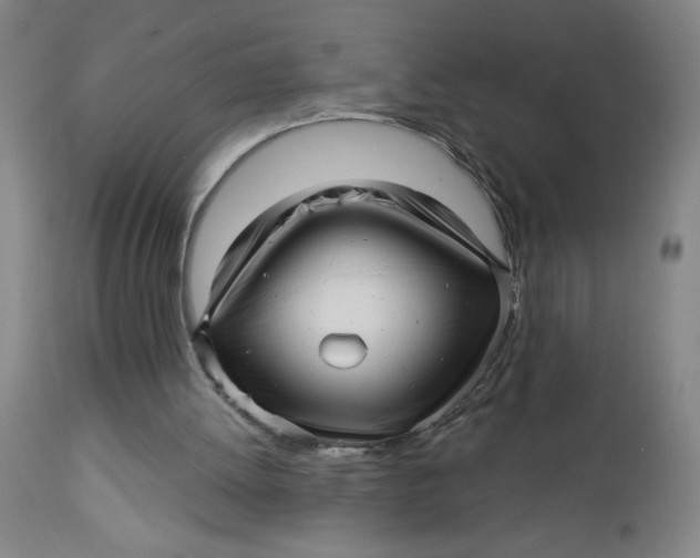 X0000112460052200909071120