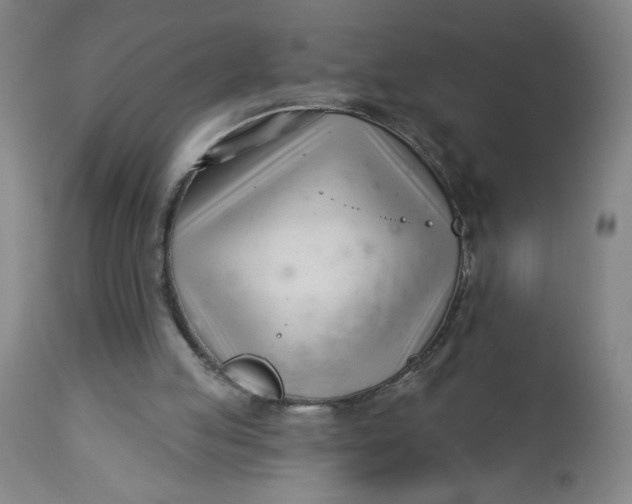 X0000112460053200909071120