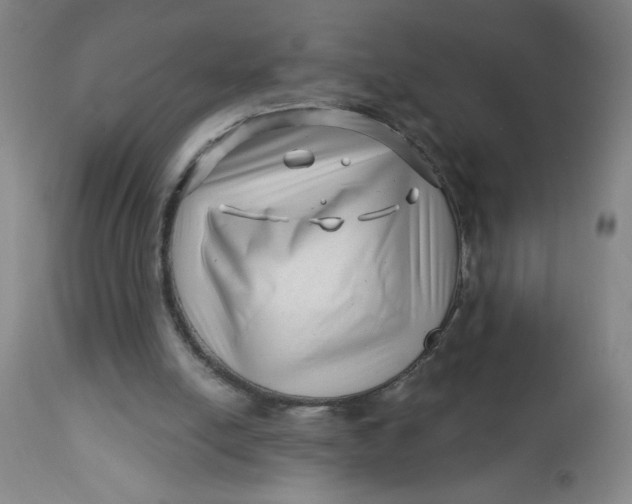 X0000112460054200909071120