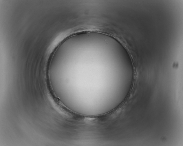 X0000112460055200909071120