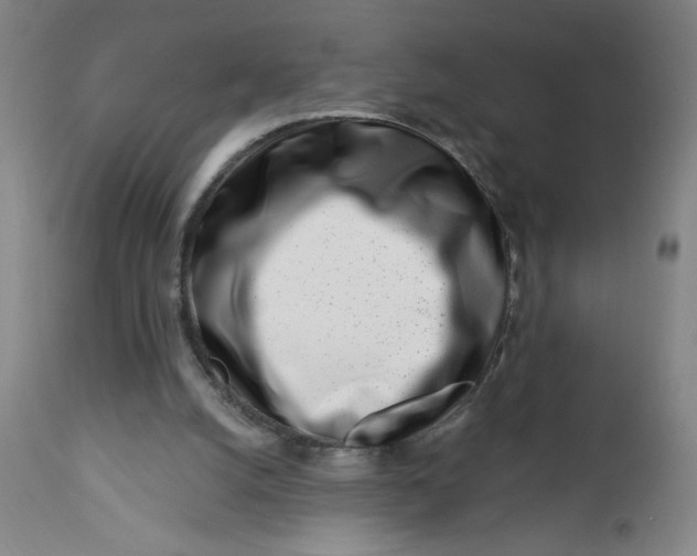X0000112460056200909071120