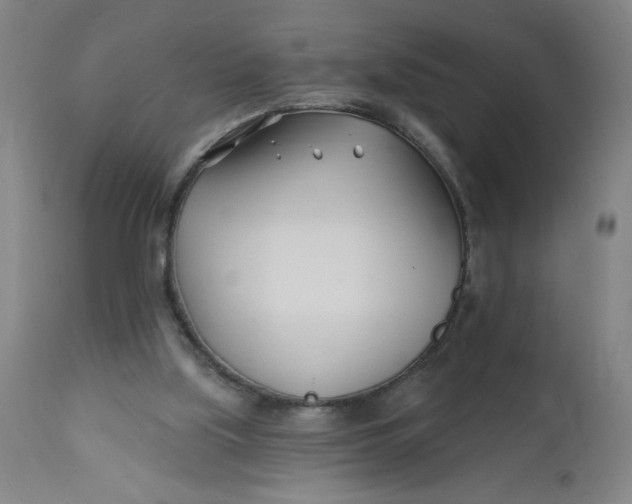 X0000112460059200909071120