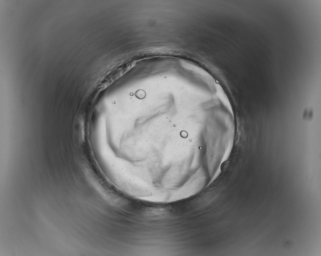 X0000112460061200909071120