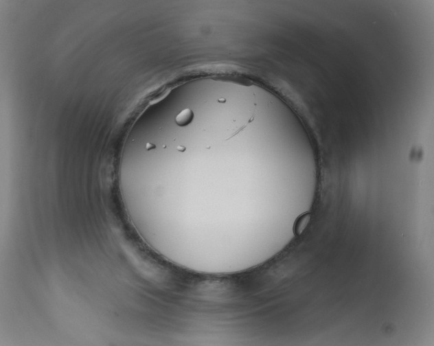 X0000112460063200909071120