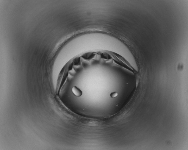 X0000112460064200909071120