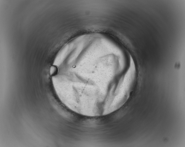 X0000112460065200909071120