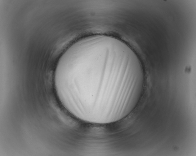 X0000112460066200909071120