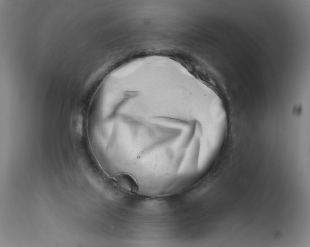 X0000112460067200909071120
