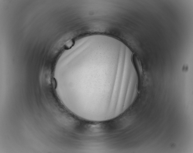 X0000112460068200909071120