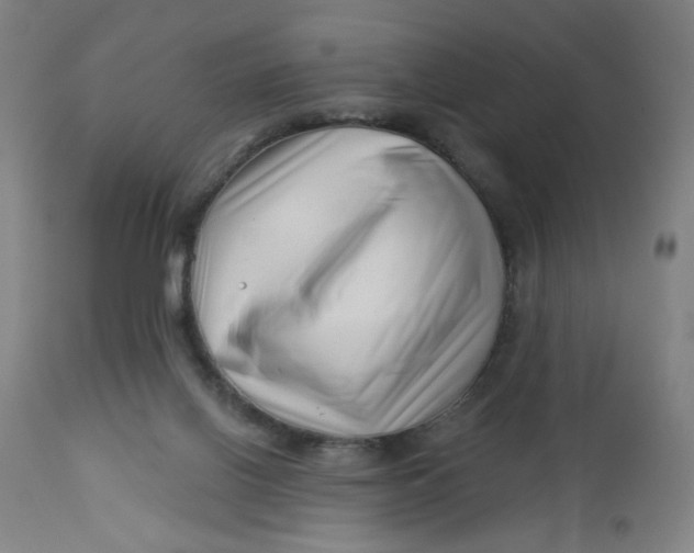 X0000112460070200909071120