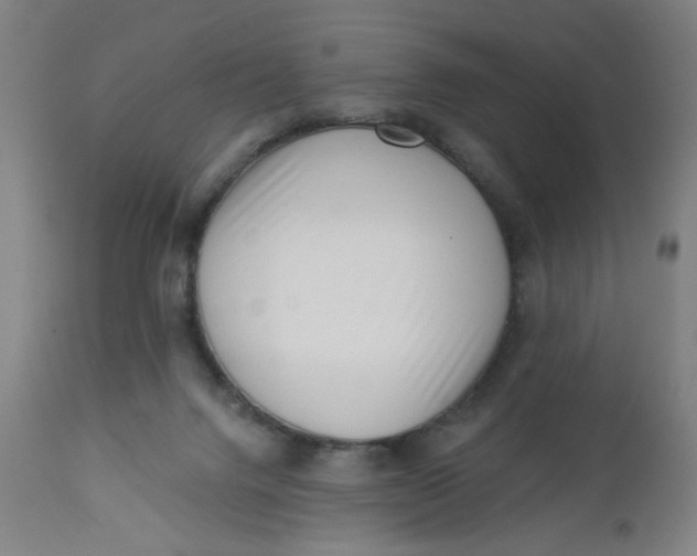 X0000112460072200909071120