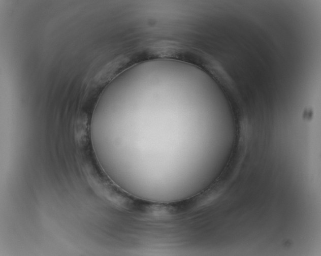 X0000112460073200909071120