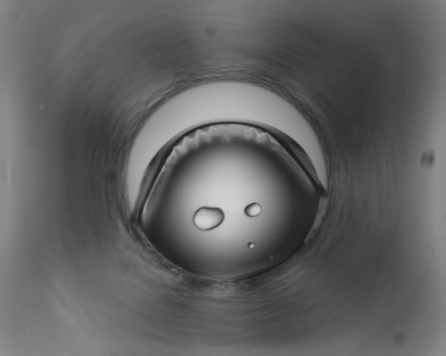 X0000112460076200909071120