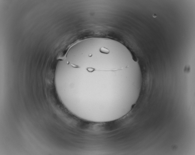 X0000112460078200909071120