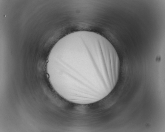 X0000112460079200909071120