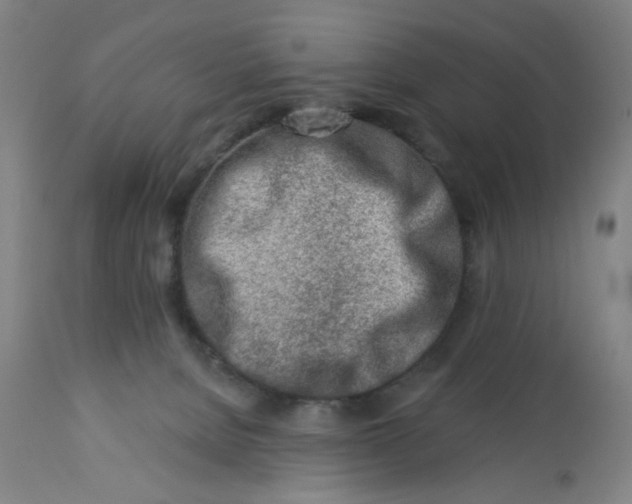 X0000112460080200909071120