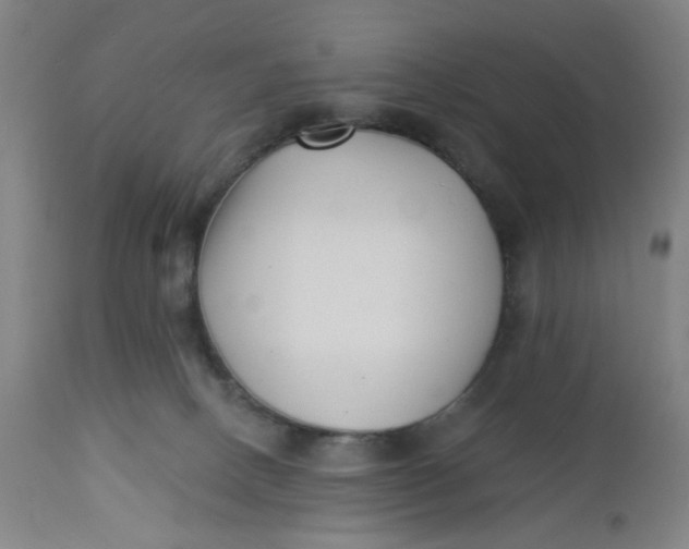 X0000112460082200909071120