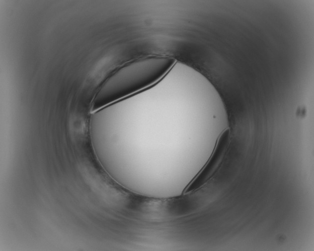 X0000112460084200909071120