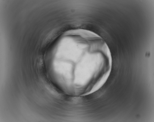 X0000112460085200909071120