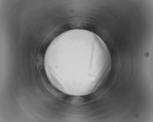 X0000112460087200909071120