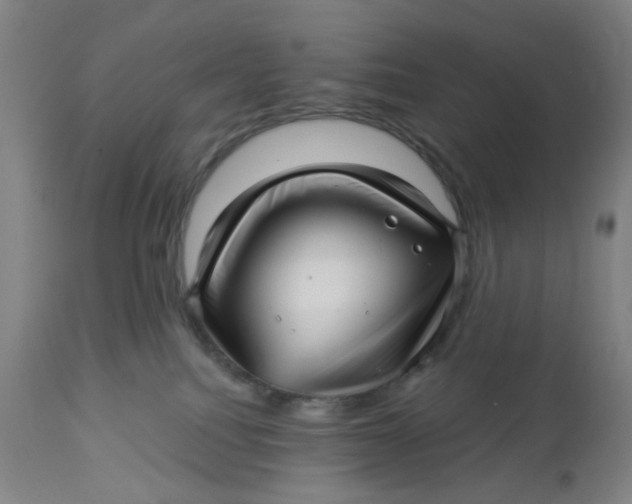 X0000112460088200909071120