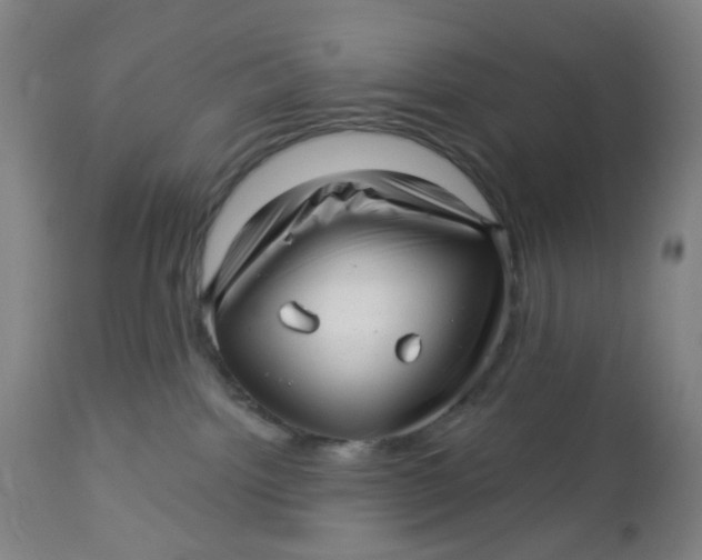 X0000112460092200909071120