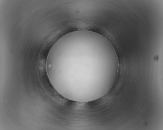 X0000112460093200909071120