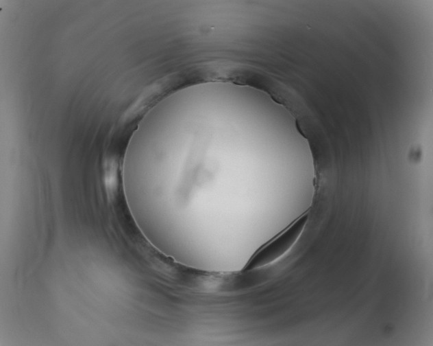 X0000112460094200909071120