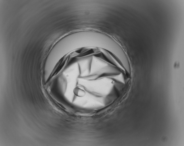 X0000112460097200909071119