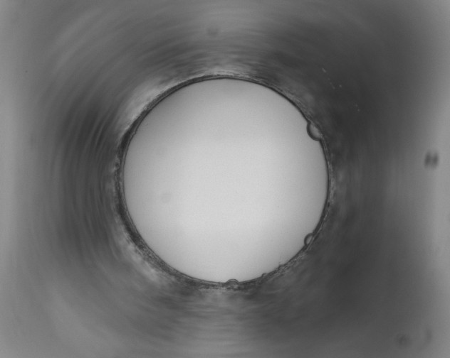 X0000112460098200909071119