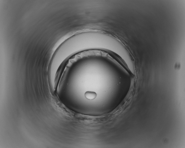 X0000112460100200909071119