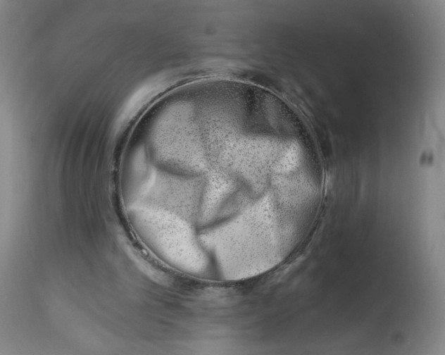 X0000112460101200909071119