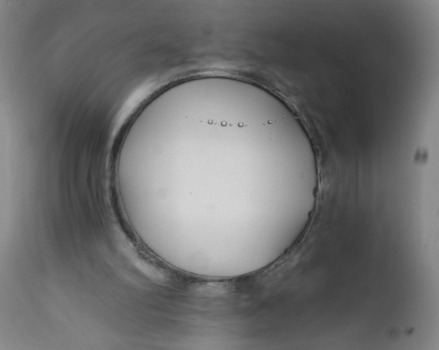 X0000112460102200909071119