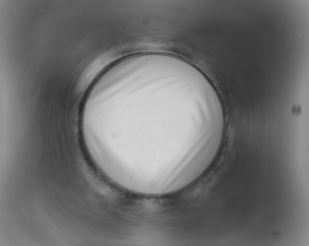 X0000112460103200909071119
