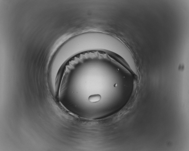 X0000112460104200909071119