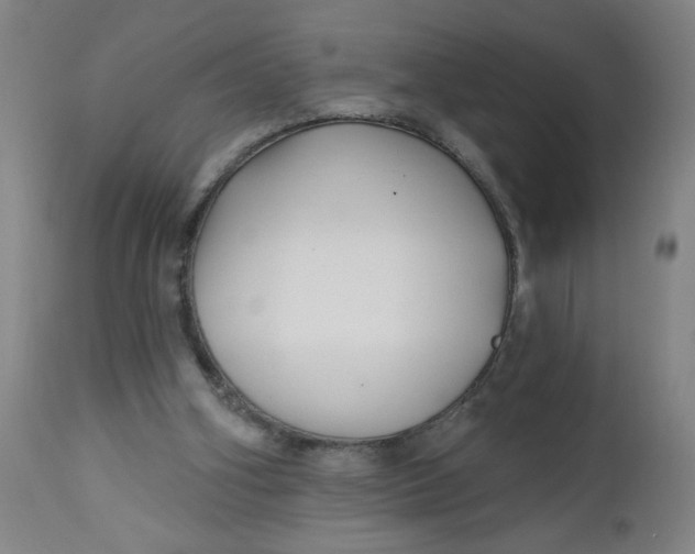 X0000112460106200909071119