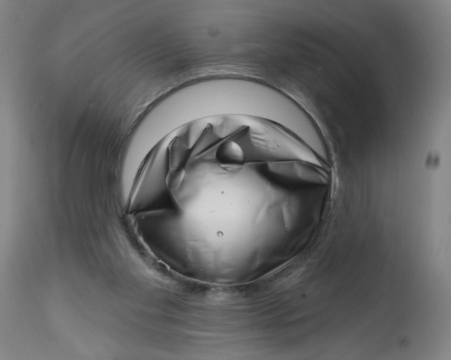 X0000112460109200909071119