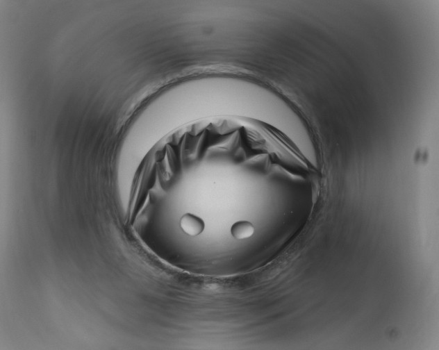 X0000112460111200909071119