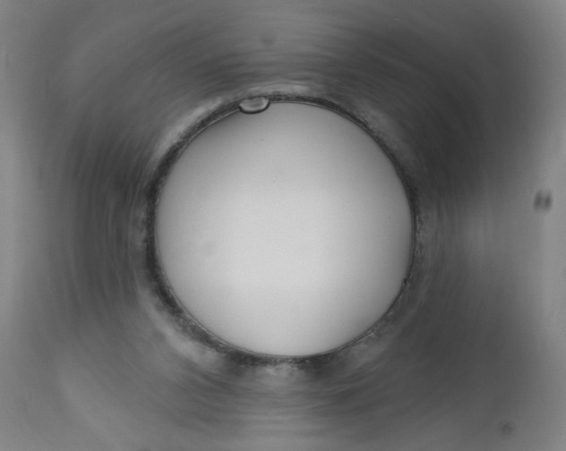 X0000112460112200909071119