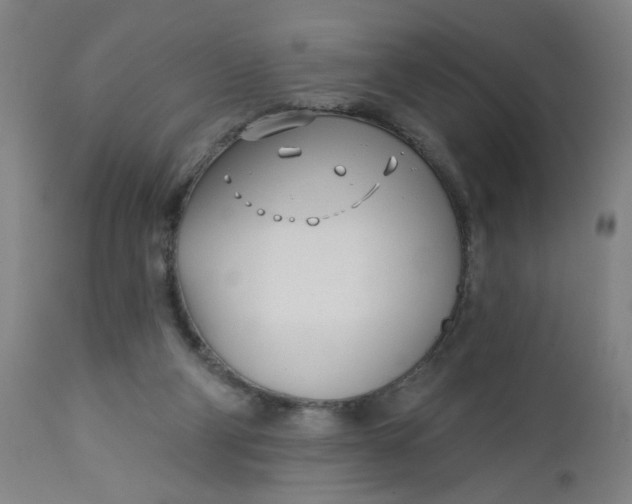 X0000112460114200909071119