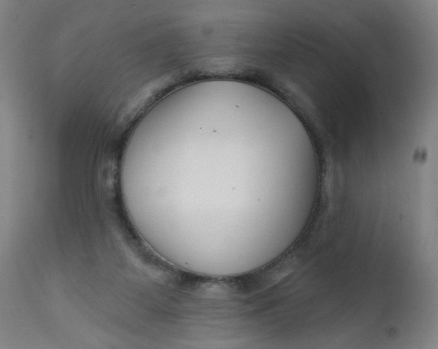 X0000112460115200909071119